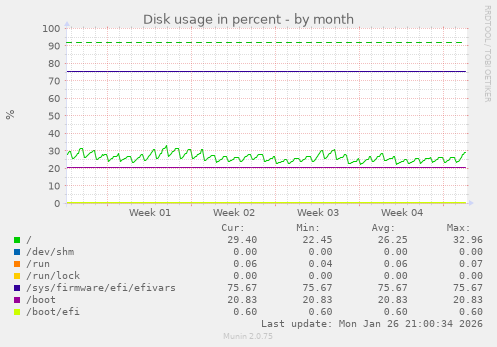 Disk usage in percent