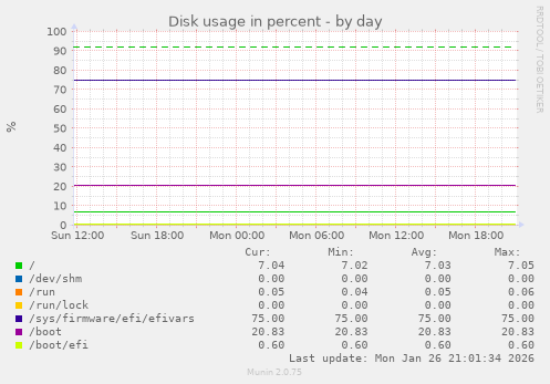 Disk usage in percent