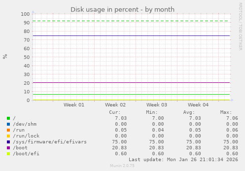 Disk usage in percent